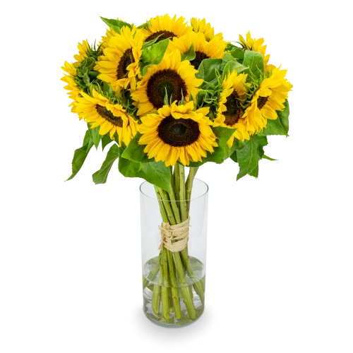 Bouquet of sunflowers